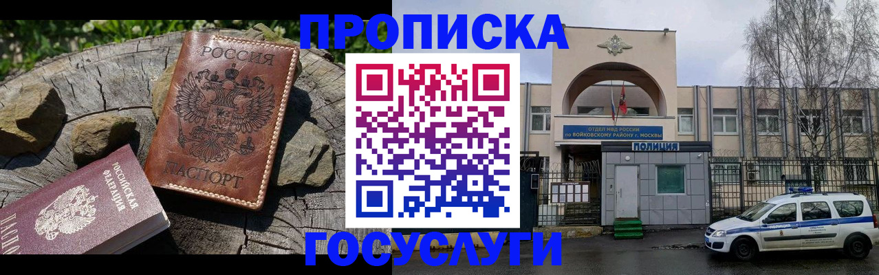 временная регистрация поиск в Долгопрудном
